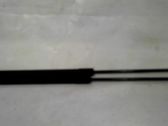 Tailgate/trunk strut/damper