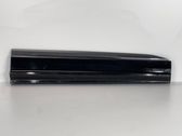 Front door trim (molding)