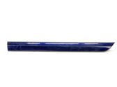 Rear door trim (molding)