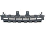 Front bumper lower grill