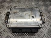 Engine control unit/module ECU