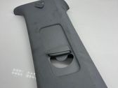 (C) pillar trim
