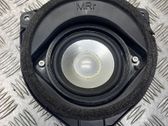 Rear door speaker