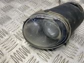 Front fog light