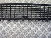 Front bumper lower grill