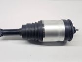 Rear shock absorber with coil spring