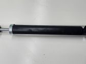 Stoßdämpfer hinten