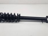 Front shock absorber/damper