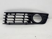 Front fog light trim/grill