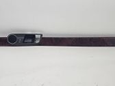 Rear door trim (molding)