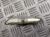 Front fender indicator light