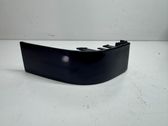 Rear/tail light trim molding