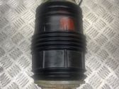 Rear air suspension bag/shock absorber