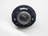 Front fog light