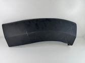 Fender trim (molding)
