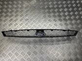 Front grill