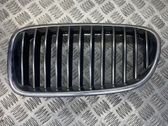 Front grill