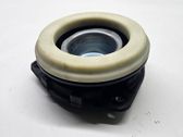 Coil spring mount