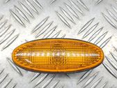 Front fender indicator light