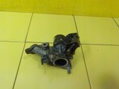 EGR termostatas