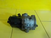 EGR termostatas