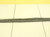 Steuerkette (Motor)