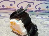 Cinturón medio (trasero)