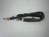 Roof airbag