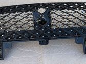 Front bumper upper radiator grill