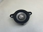 Front door speaker