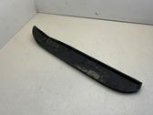Other front door trim element