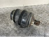 Rear air suspension bag/shock absorber