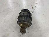 Rear air suspension bag/shock absorber