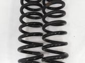 Rear coil spring