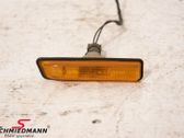 Front fender indicator light