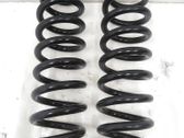 Rear coil spring