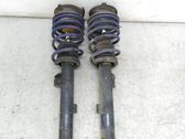 Rear shock absorber with coil spring