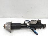 Rear shock absorber/damper