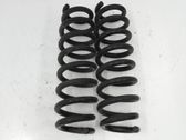 Rear coil spring