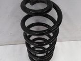 Rear coil spring