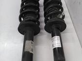 Rear shock absorber/damper