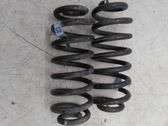 Muelle espiral trasero