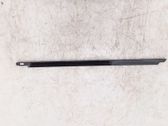 Front door trim (molding)