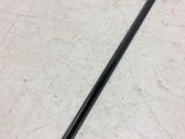Front door trim (molding)