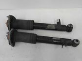 Rear shock absorber/damper