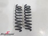 Rear coil spring