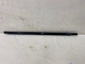 Front door trim (molding)