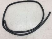 Front door rubber seal