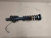 Rear shock absorber/damper