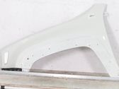 Fender